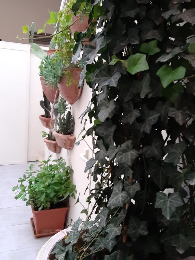 Litium 3 Bed & Breakfast เลชเช ภายนอก รูปภาพ